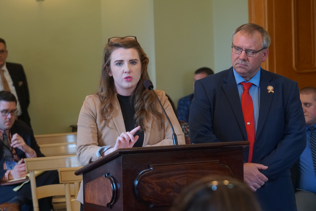 Rep.  Sweeney testifies at Higher Education committee in support of her bipartisan bill for student degree completion and general education requirements